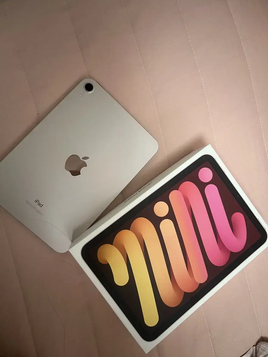 iPad mini 6 64Gb pink