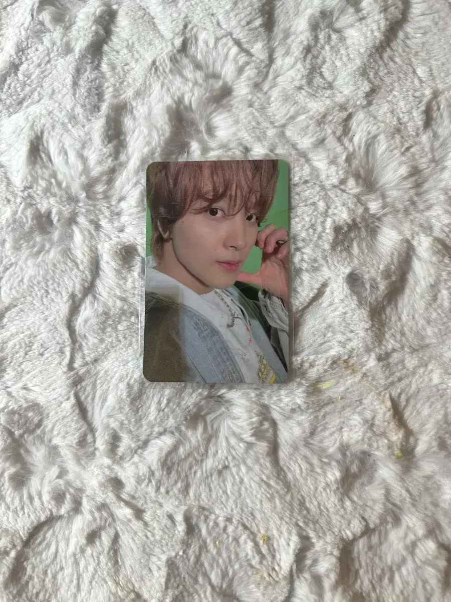 nct127 nct127 haechan photocard dreamwishwaiting