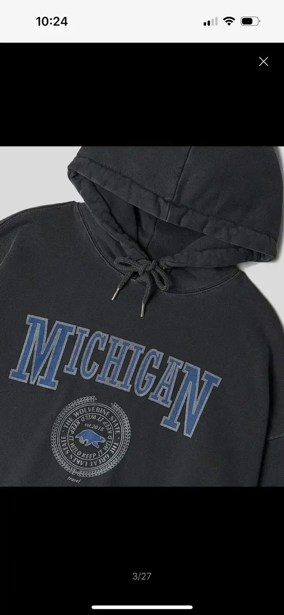 Michigan Wolverines Hoodie M