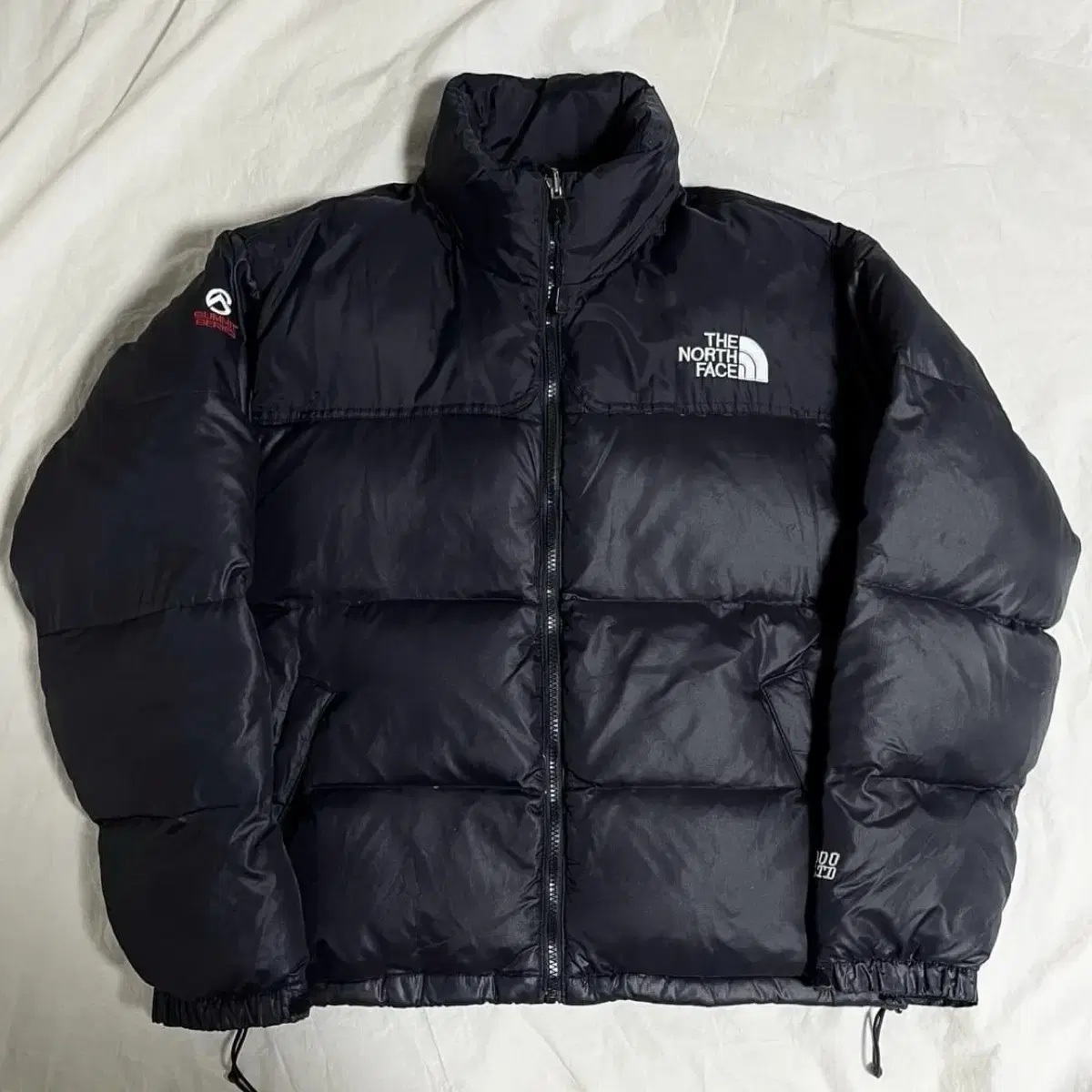 [Fanwan] The North Face Summit Series 900 LTD Padding