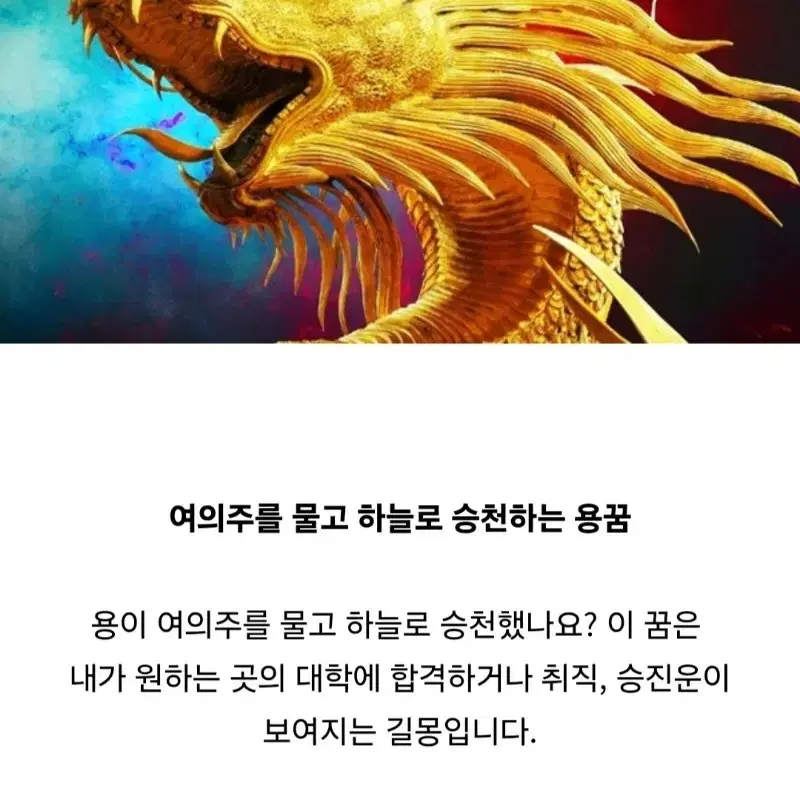 [연말특집 초특가] 삼재(양,돼지,토끼띠)인 분들을 위한 액막이 드래곤