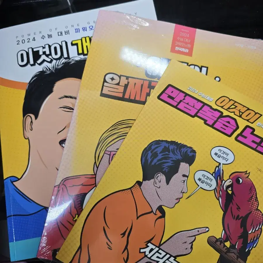 메가스터디 이다지 동아시아사, 이기상 한국지리 책 팝니다