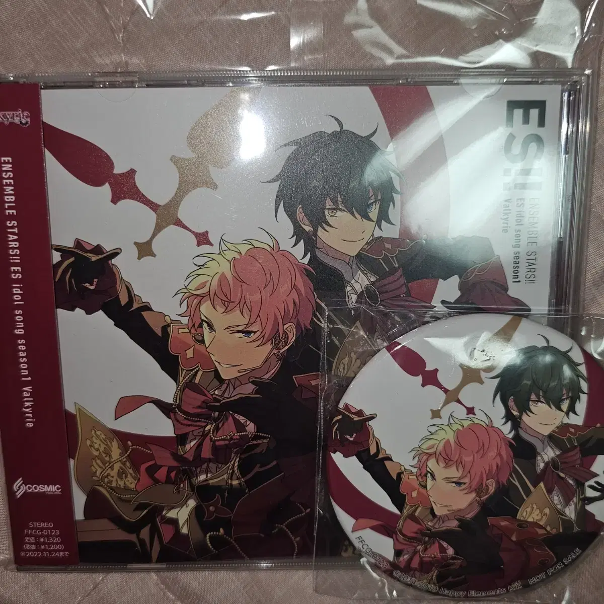 Angsta Valkyrie Unit Song album Half-priced Delivery