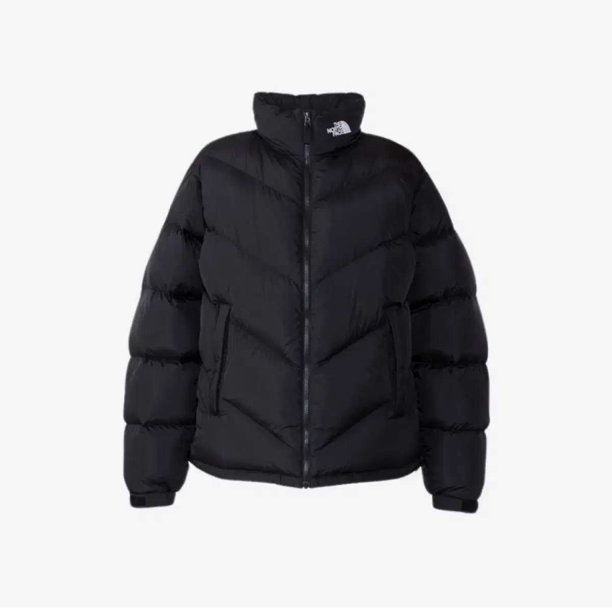 The North Face Ascent L