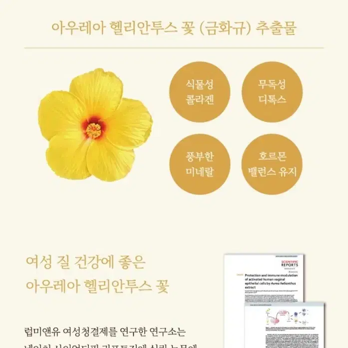 럽미앤유