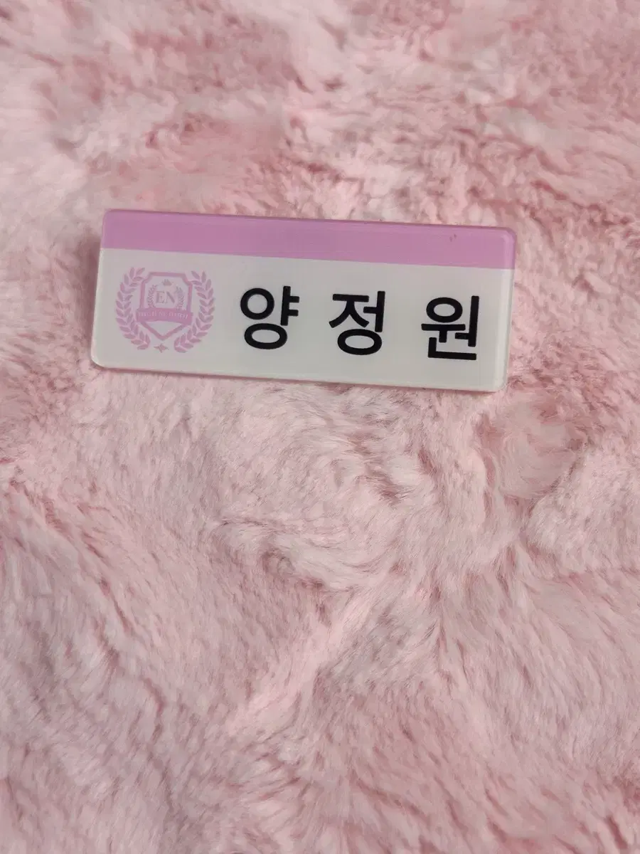 enhypen jungwon acrylic name badge (tongs)