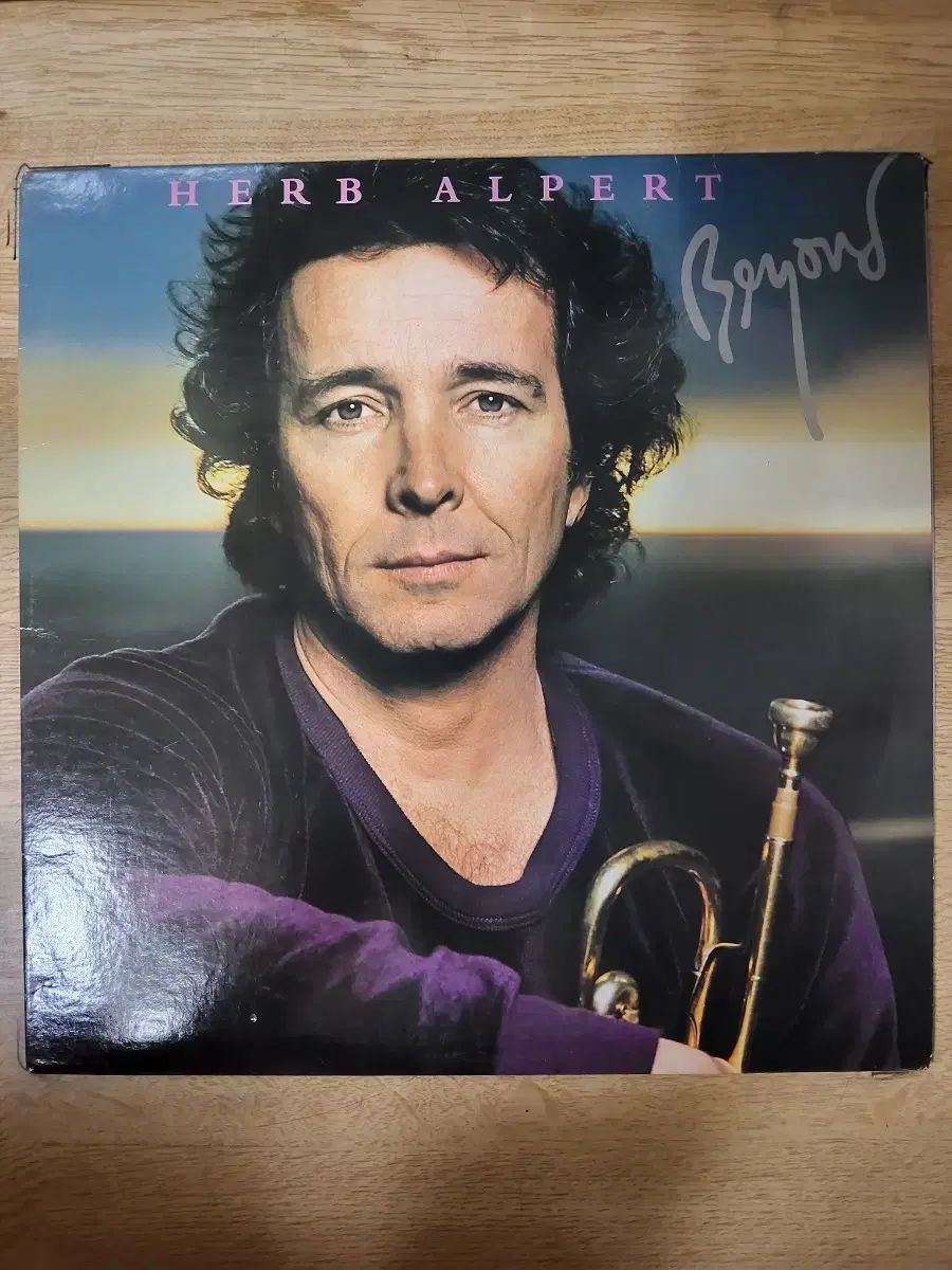 HERB ALPERT 음반 b (LP 턴테이블 오디오 앰프