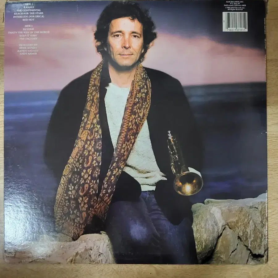 HERB ALPERT 음반 b (LP 턴테이블 오디오 앰프