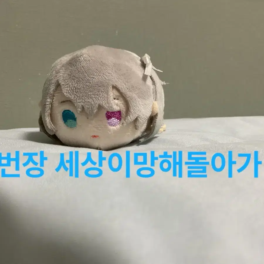 프세카 프로세카 니고미쿠 모찌마스