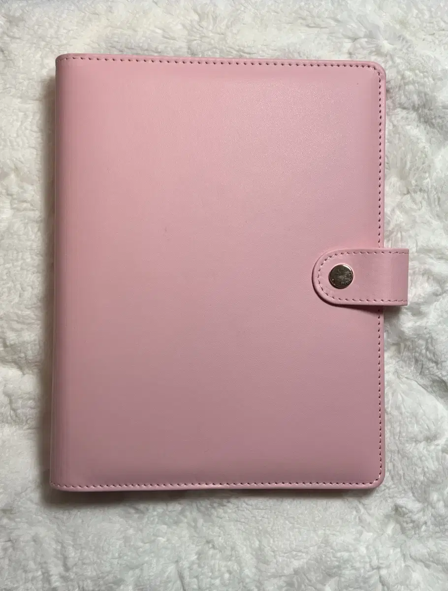 Mignuitt Macaron A5 6-Ball Diary binder wts