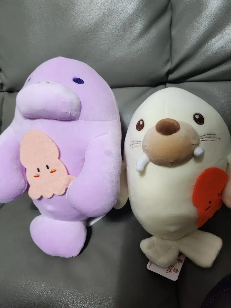 돌고래&물개인형(세트)