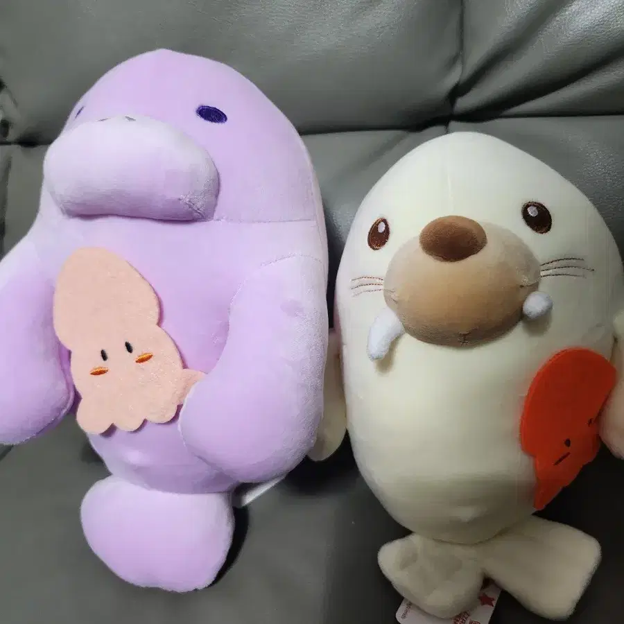 돌고래&물개인형(세트)