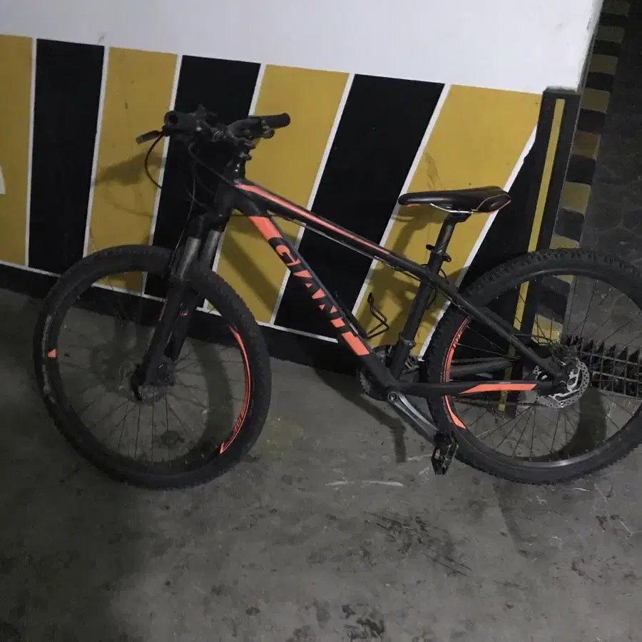 GIANT MTB