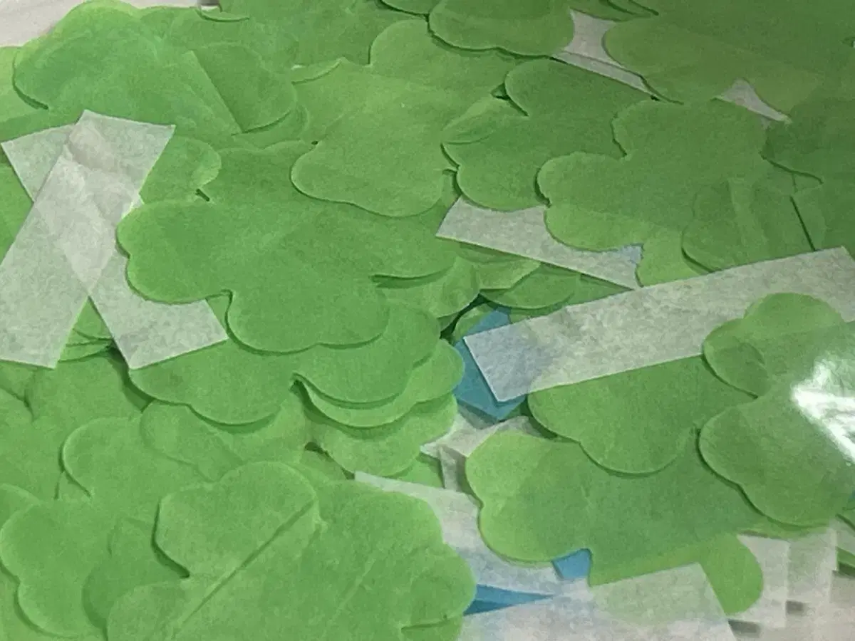 Sharing)) doyoung Solo Concert Four Leaf Clover Confetti