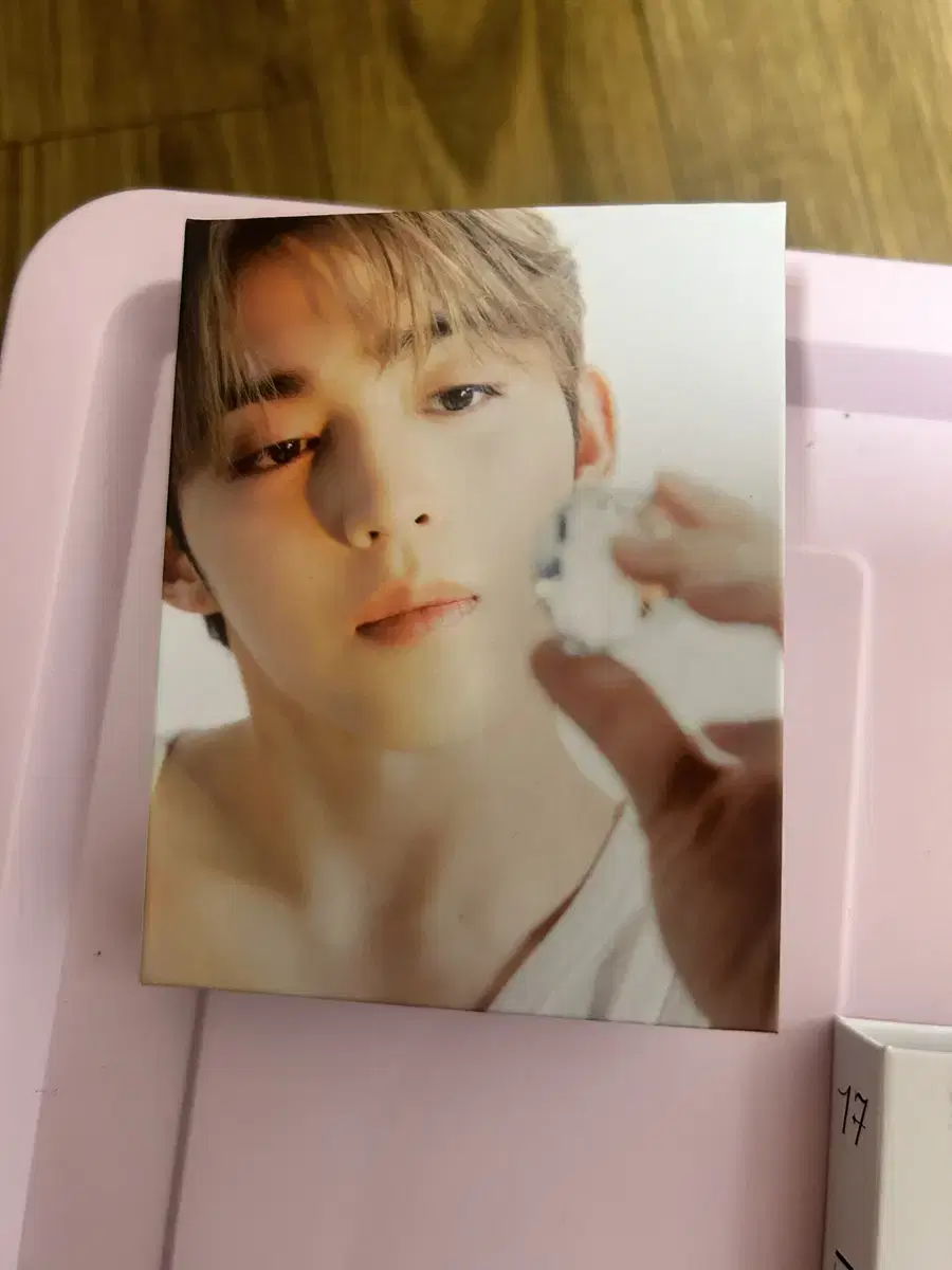 Seventeen s.coups Deer version binder Caratbahn photocard