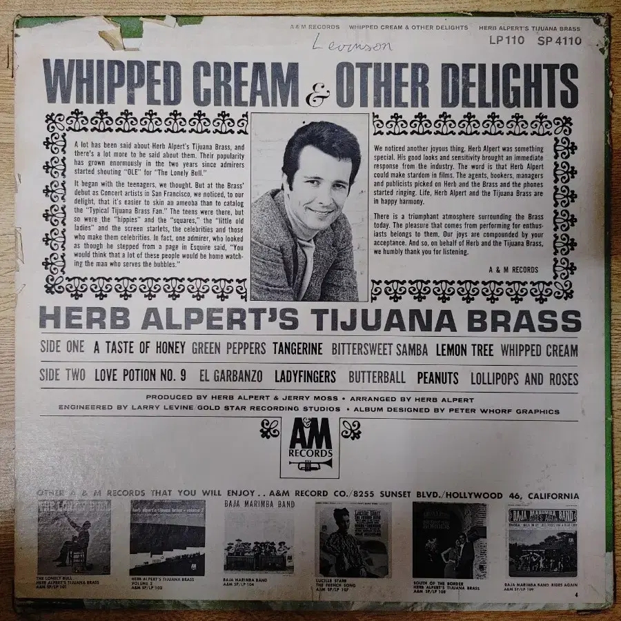 HERB ALPERT 음반 w (LP 턴테이블 오디오 앰프