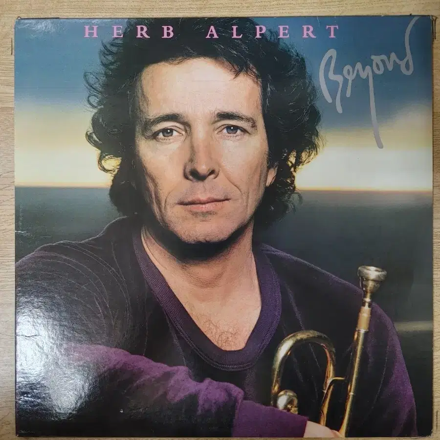 HERB ALPERT 음반 b (LP 턴테이블 오디오 앰프