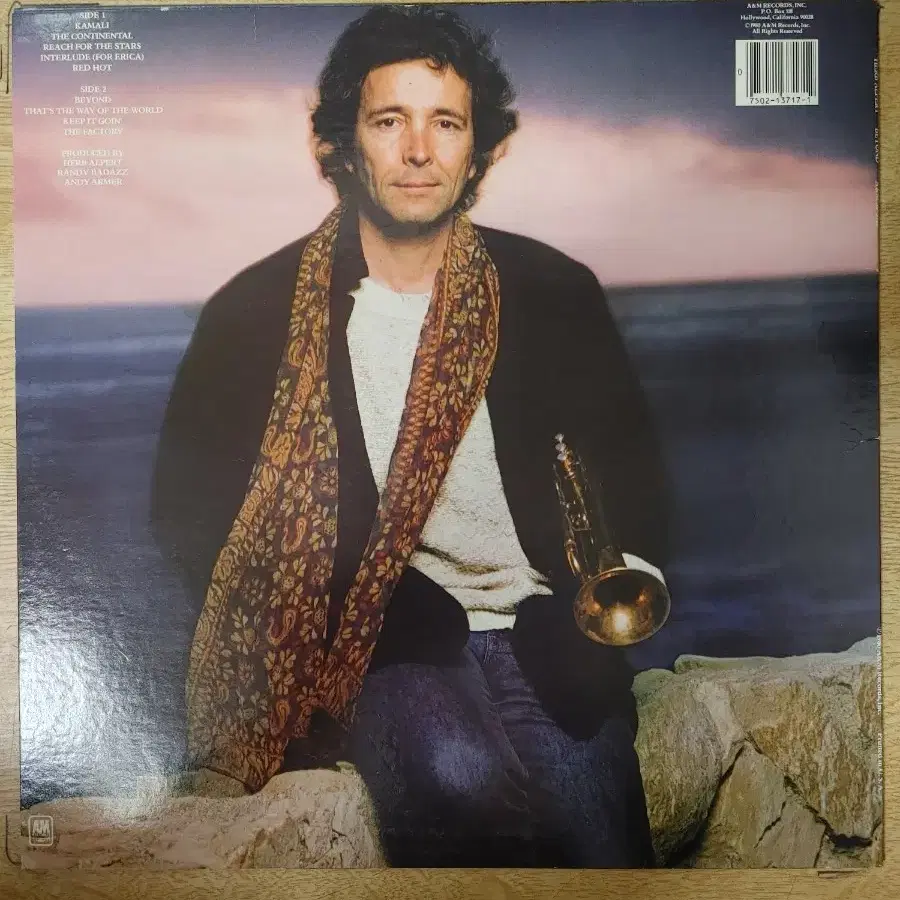 HERB ALPERT 음반 b (LP 턴테이블 오디오 앰프