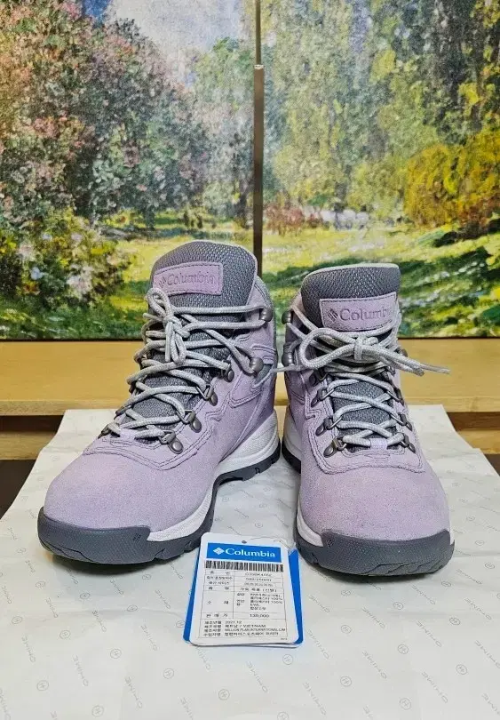 Women's Hiking Boots Size 250 (8) New