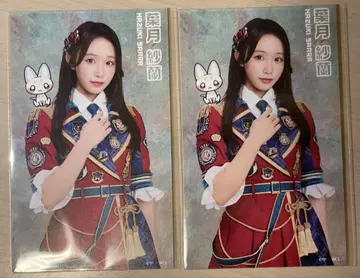 나데시코 나데시코 하즈키 사란