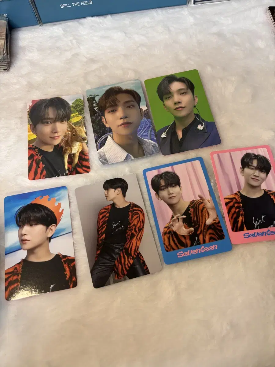 Seventeen deikon joshua photocard in bulk