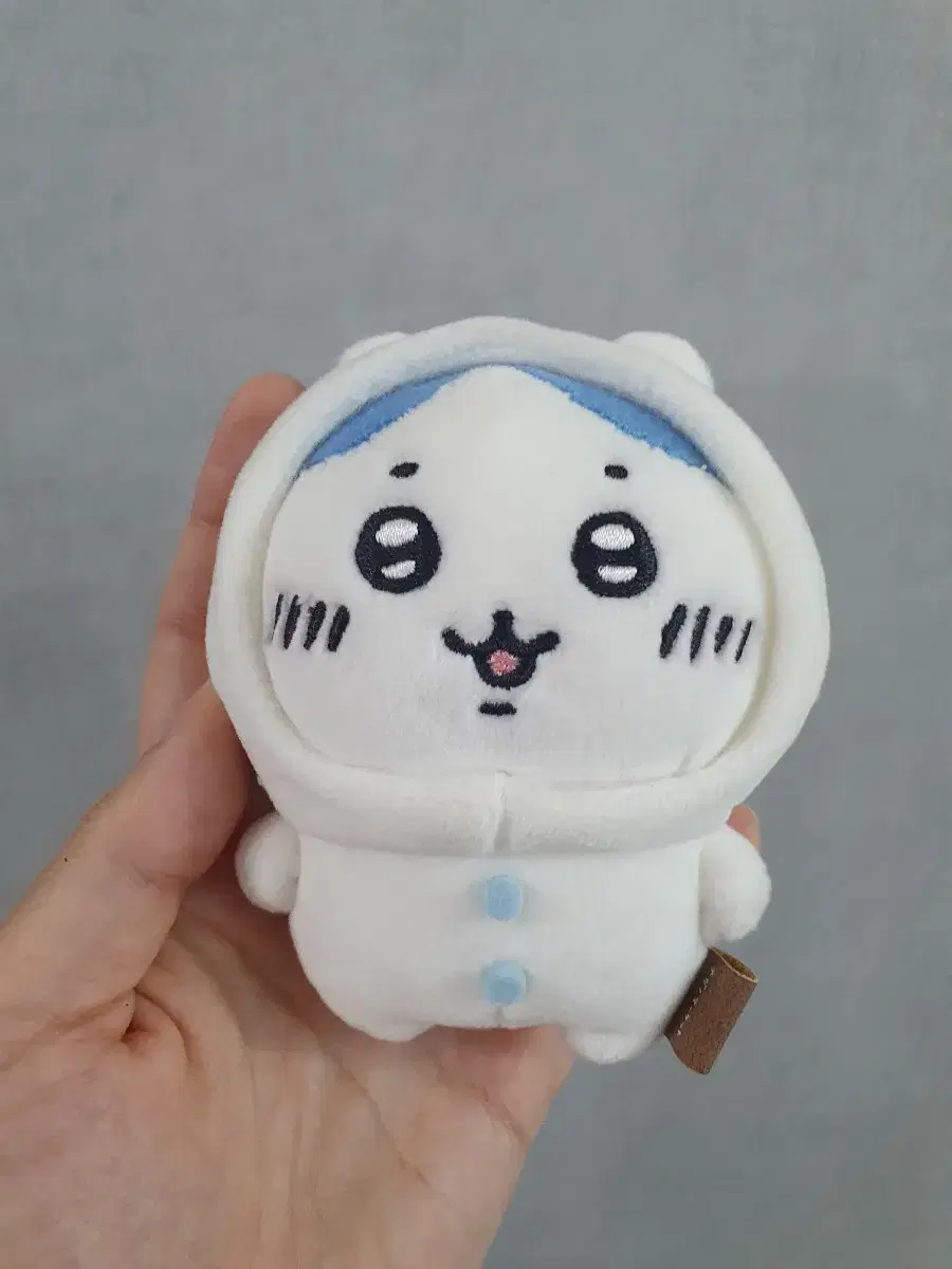 치이카와 하치와레 농담곰