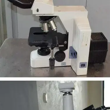 Nikon Eclipse E600 Microscope