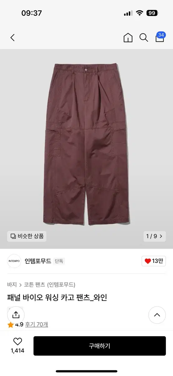 Intemperate Wine Cargo Pants