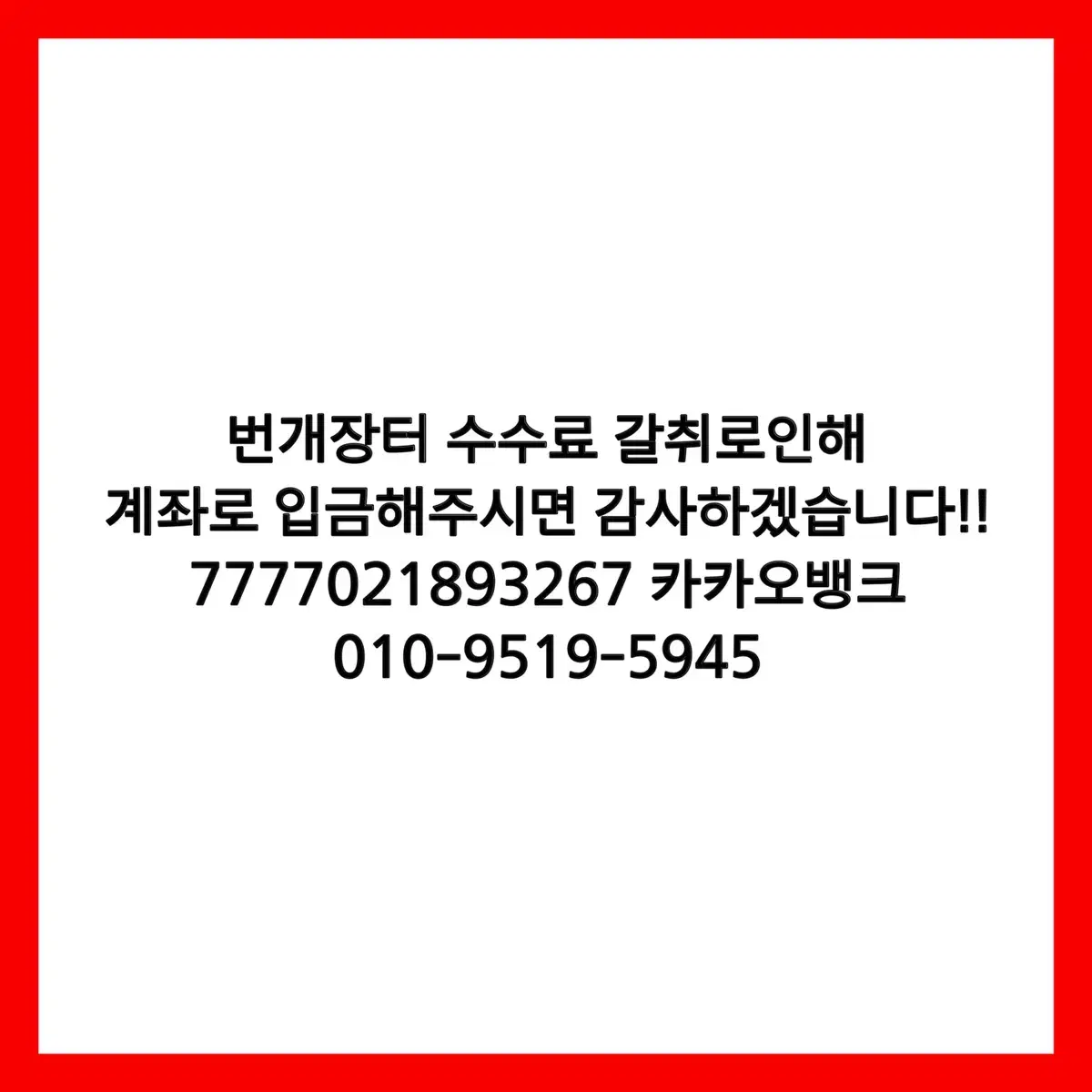 캘빈클라인 후드티