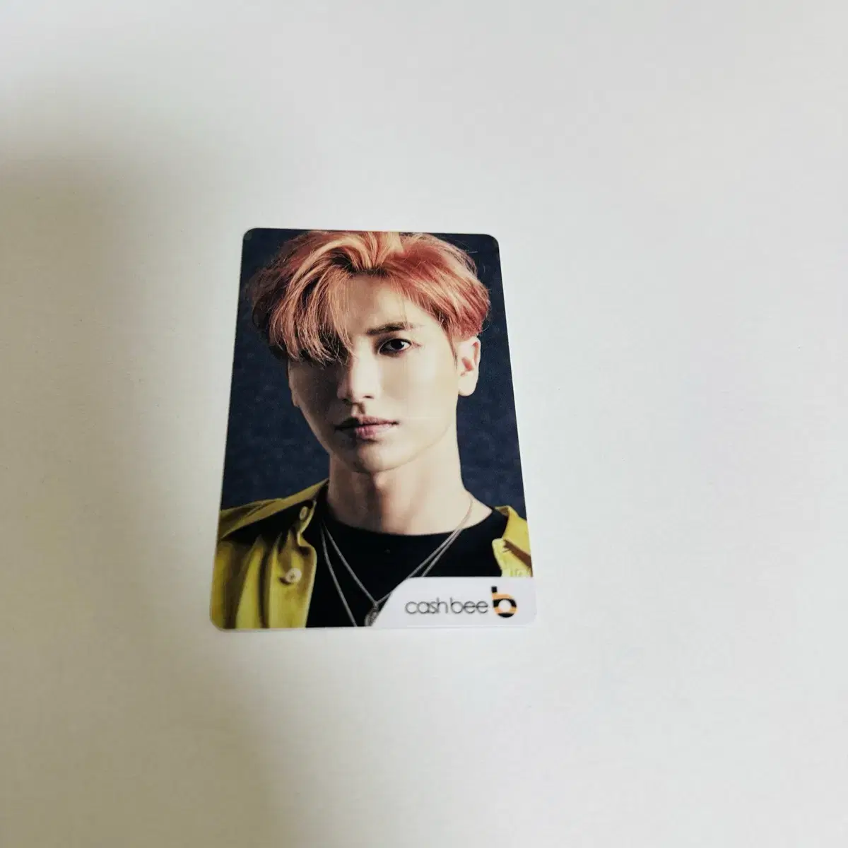 Super Juniors leeteuk Transportation Card