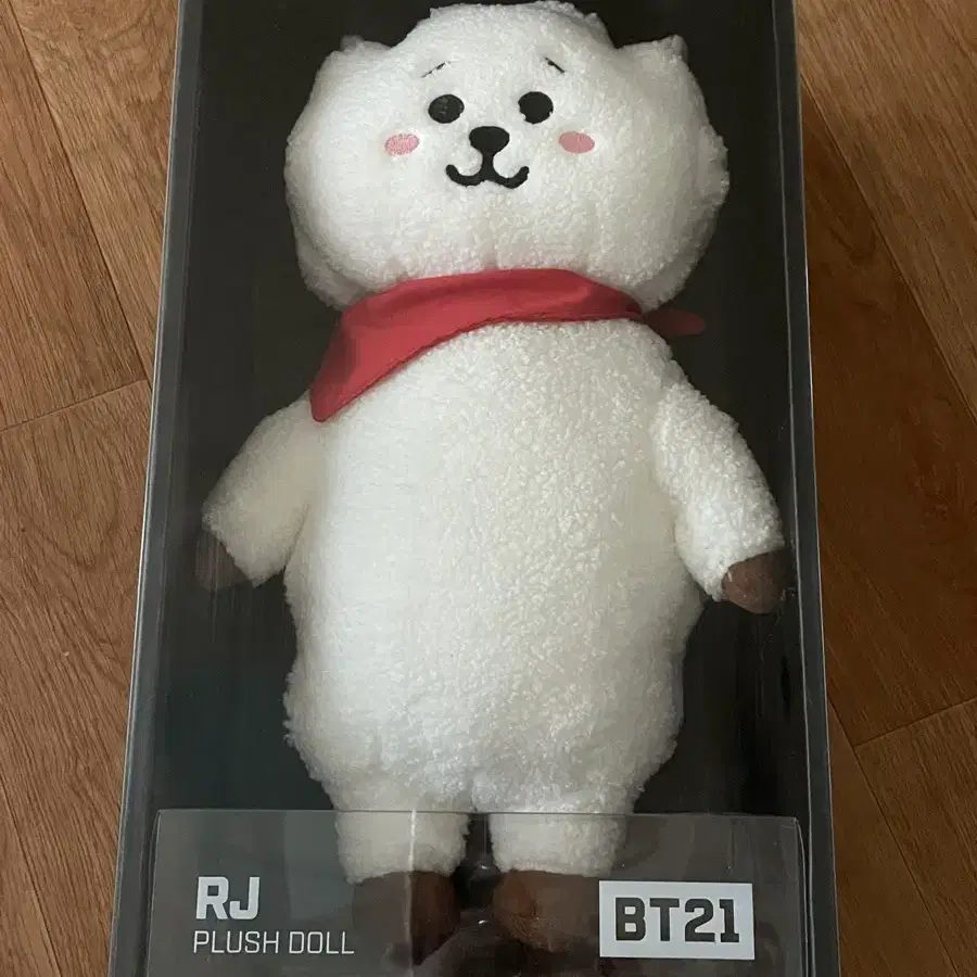 BT21 알제이 미디움 인형 양도합니다