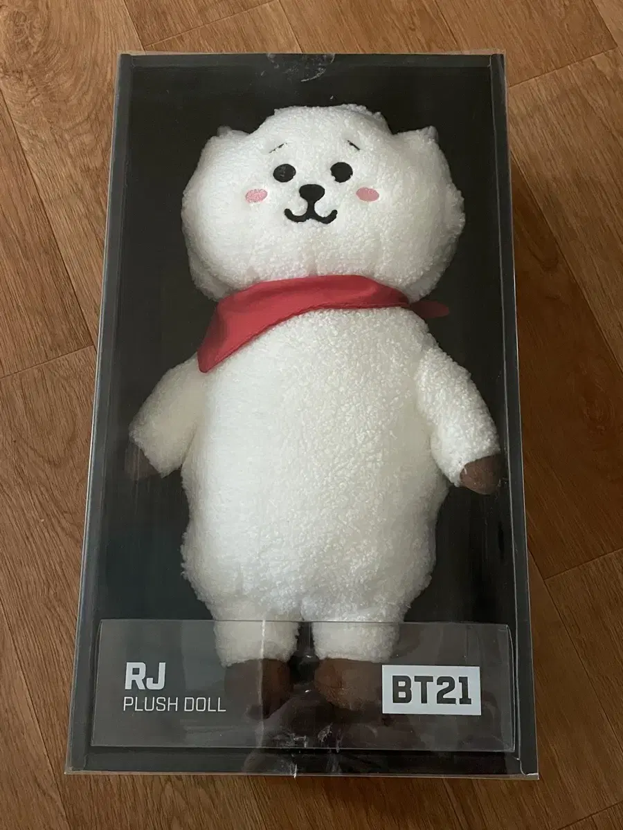 BT21 Aljay Medium doll wts