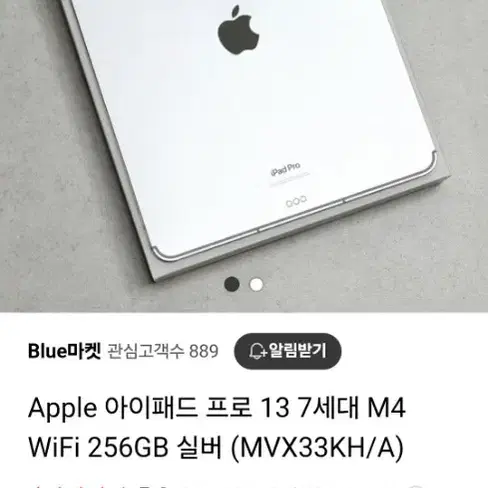 Apple 아이패드 프로 13 7세대 M