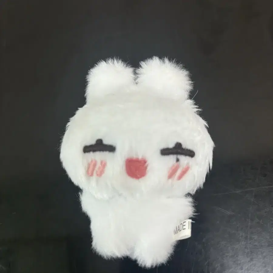 엔하이픈 선우 인형 해피떤 8cm