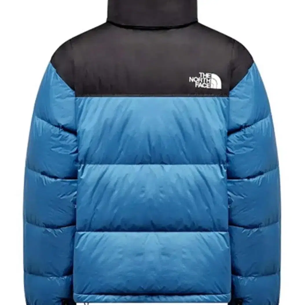 노스페이스 The North Face 1996 레트로 눕시 다운 패딩