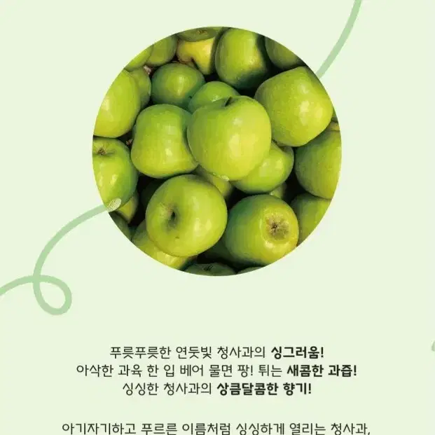 [네이처퓸] 리얼 청사과 향수