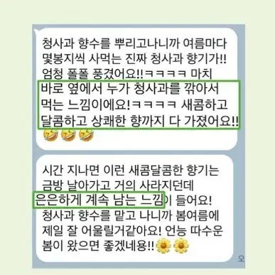 [네이처퓸] 리얼 청사과 향수