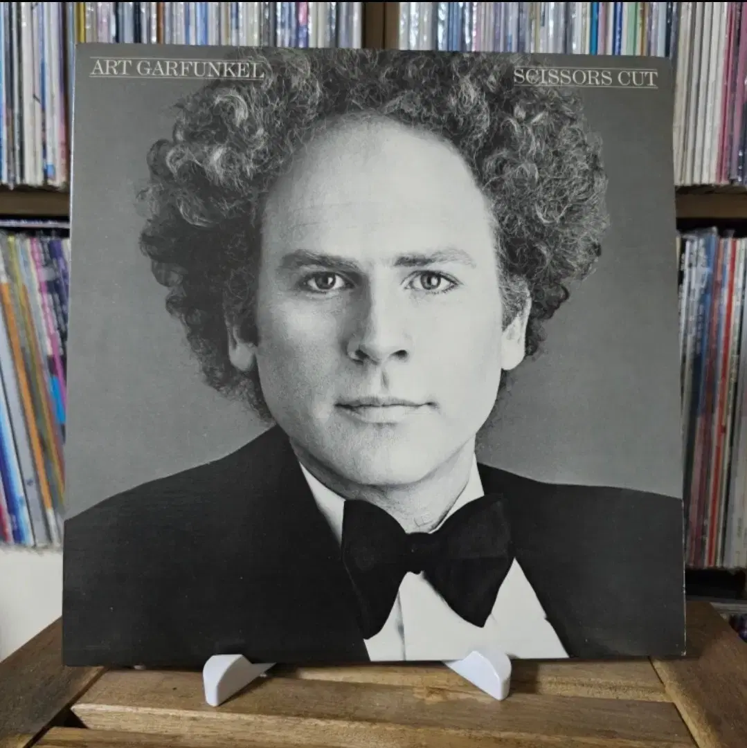 (미국반, 민트급, 아트 가펑클) Art Garfunkel - 5집 LP