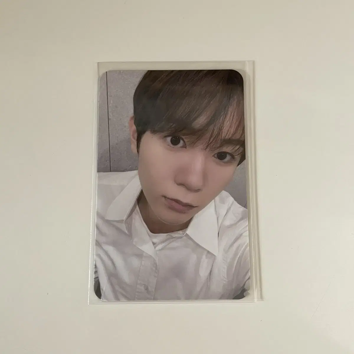 NCT Wish Ryo Steady mumoshop photocard wts / Ryo photocard unreleased photocard Japan