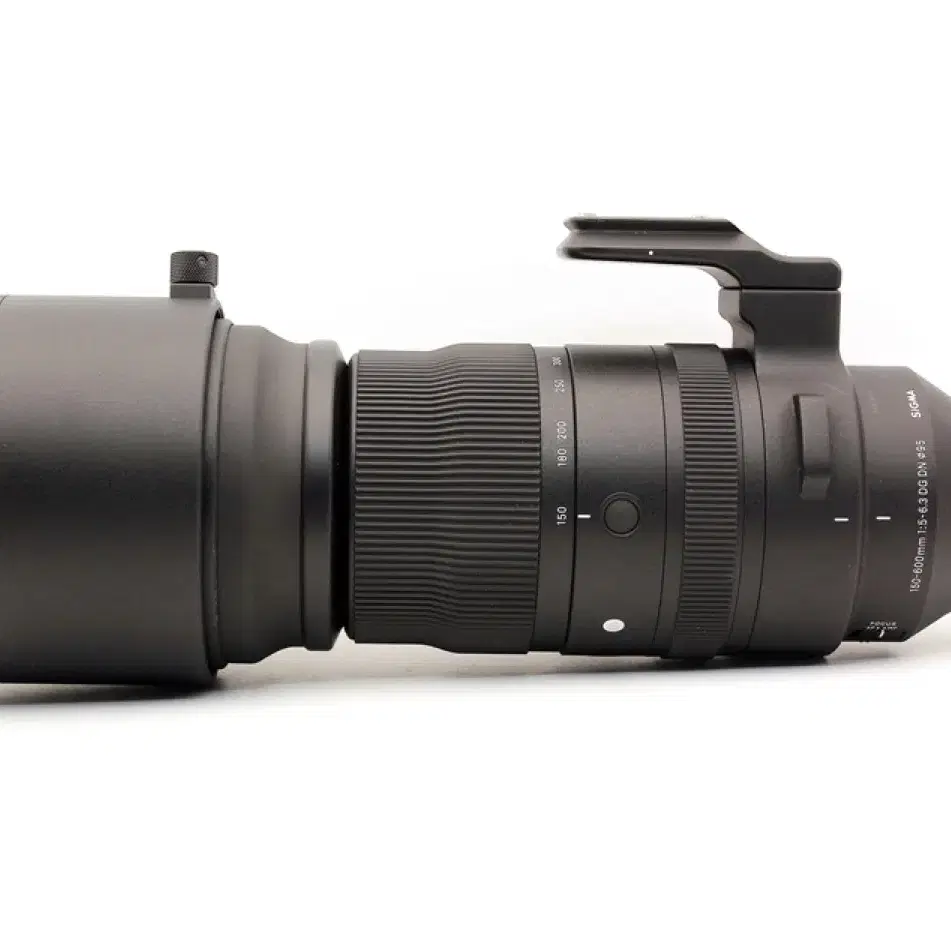 SIGMA 150-600mm F5-6.3 DG Sports (L마운트)