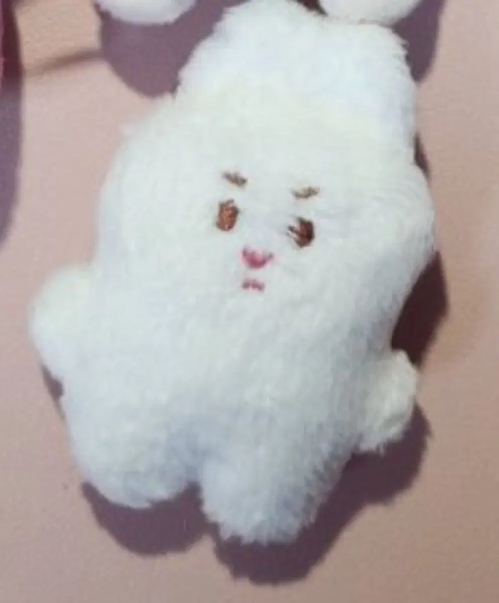 Sungwoon Ha doll wts Haki