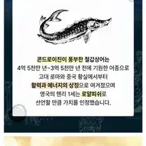 [미개봉] 정심 철인관 임꺽정 철갑상어 홍삼 15gx30포  1개월분