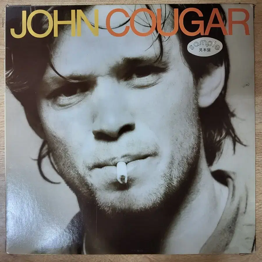 JOHN COUGAR 음반 (LP 턴테이블 오디오 앰프