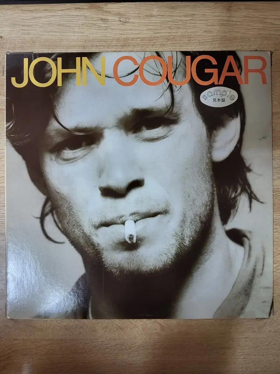 JOHN COUGAR 음반 (LP 턴테이블 오디오 앰프