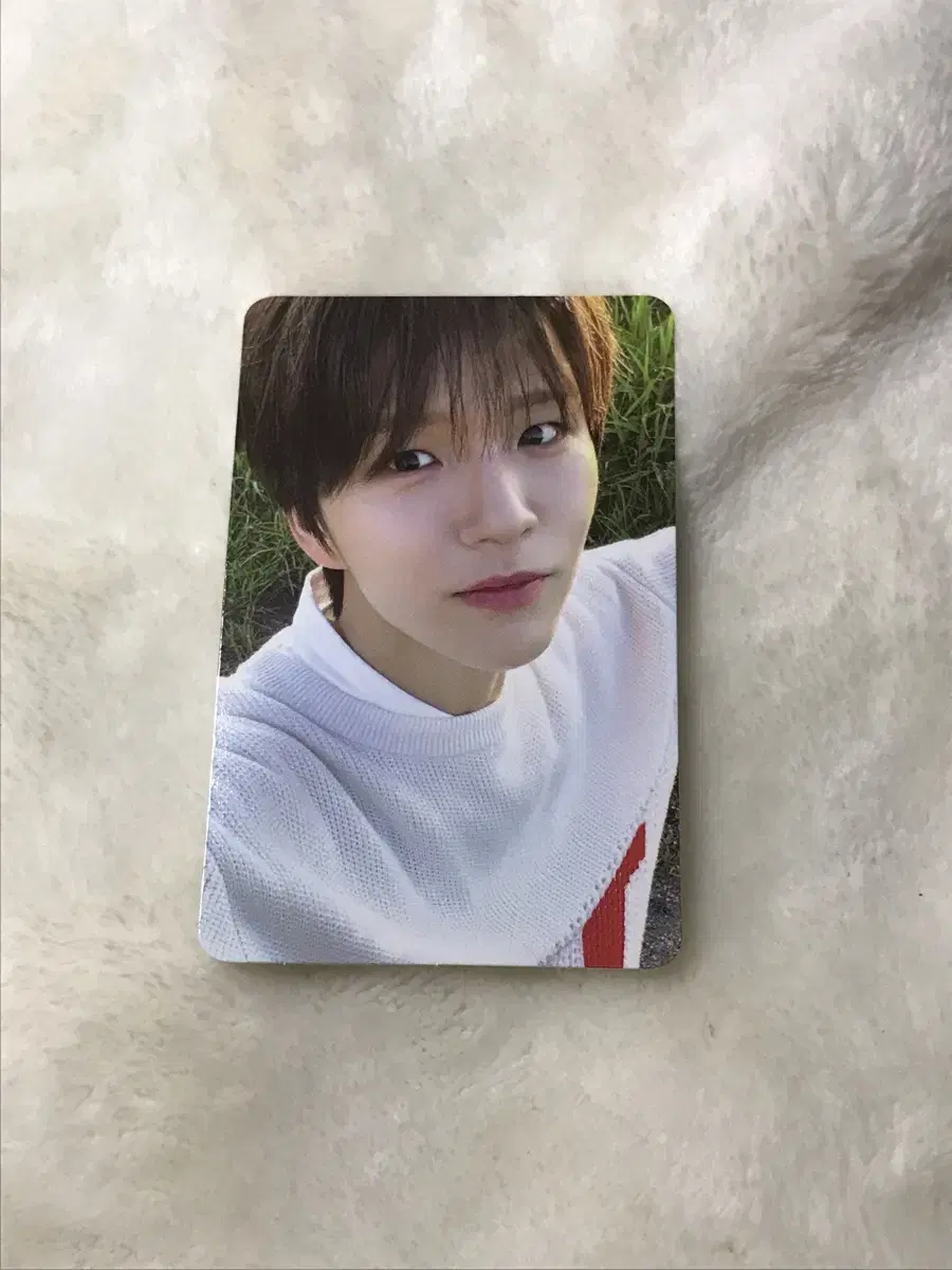 NCT wish Jaehee Trading kard photocard WTS