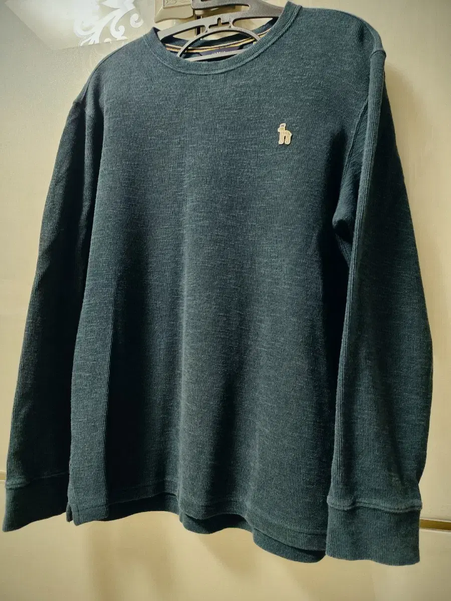 Hedges long sleeve t-shirt size 95