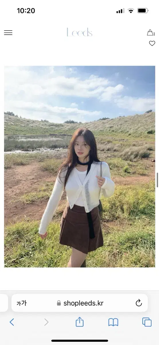 더위시 리즈 허쉬가디건