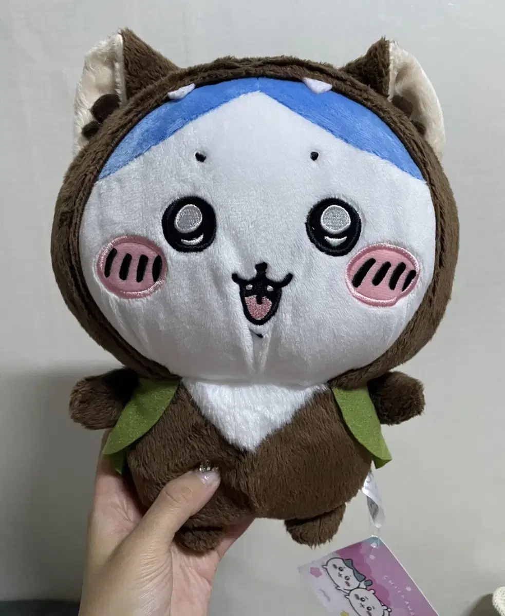 Halloween Wolf Hachiware doll for sale (Chiikawa/Manjakugi)