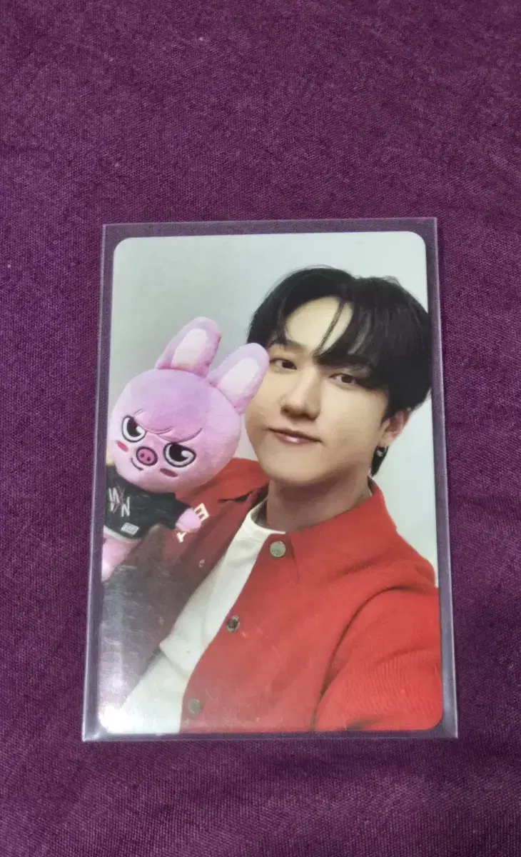 Straykids skz changbin piggy photocard