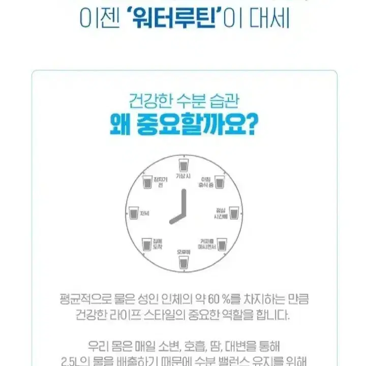 번개최저가 (무료배송) 풀무원생수 2LX12병 워터루틴